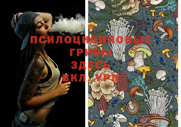 mdma Заволжск
