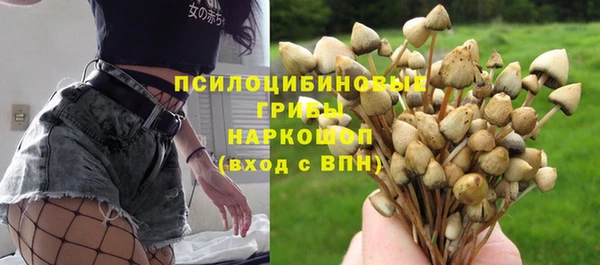бутират Заводоуковск